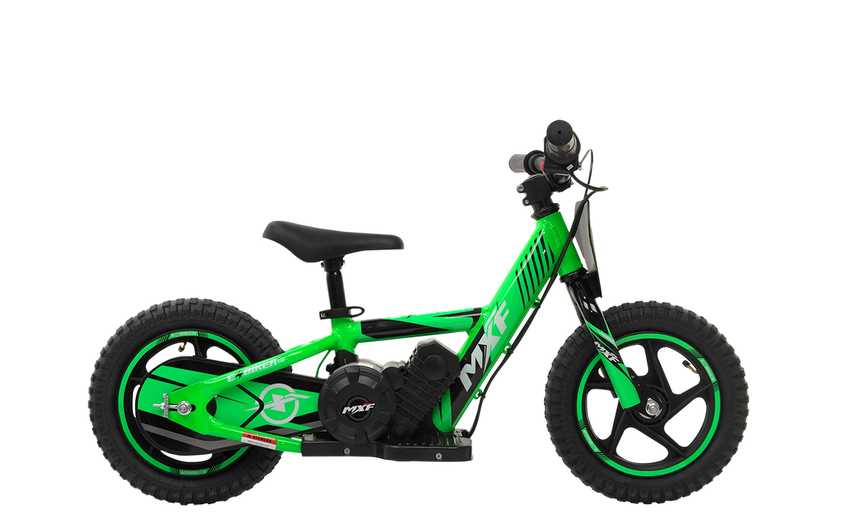 E-BIKER 12