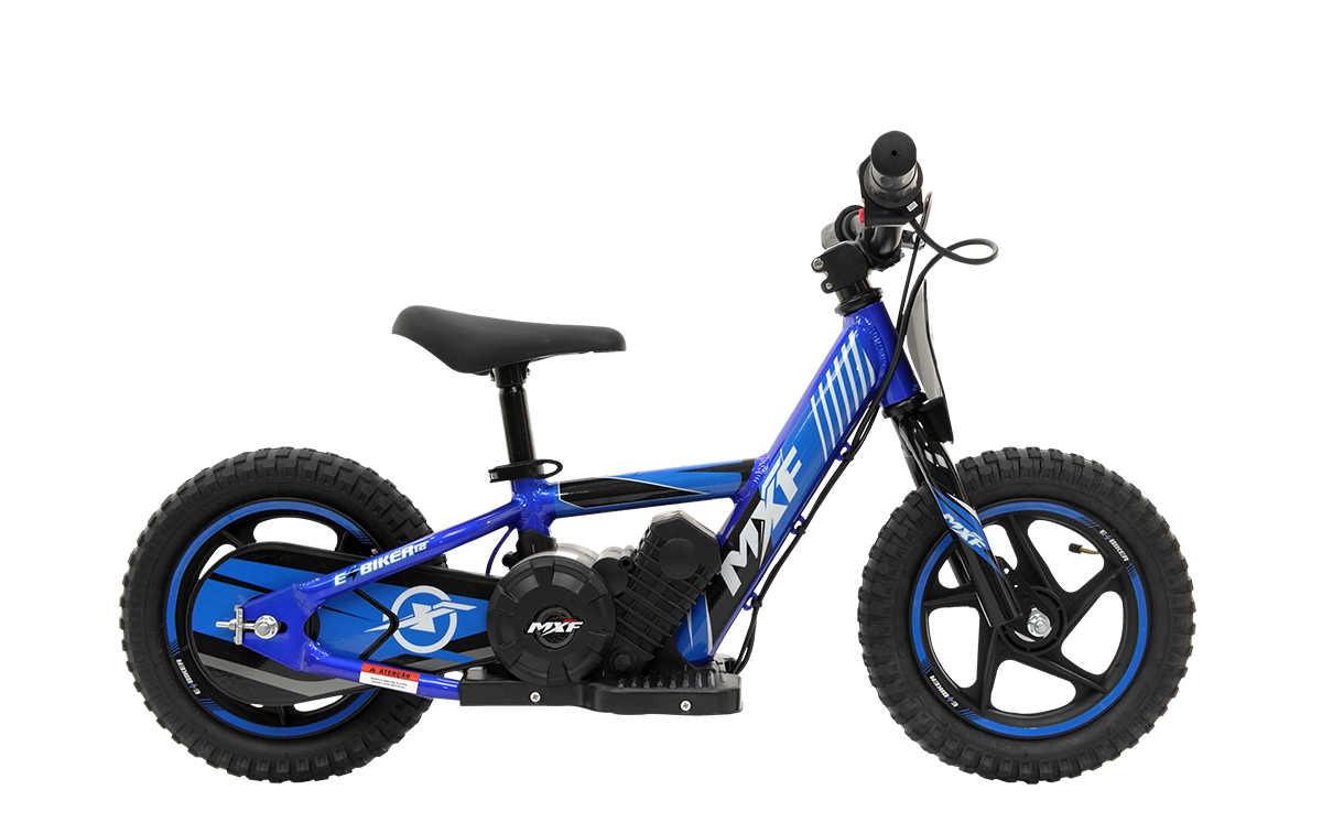 E-BIKER 12