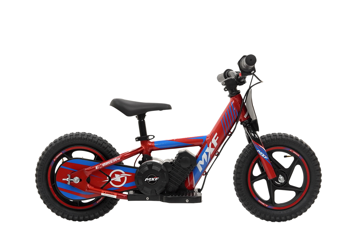 E-BIKER 12