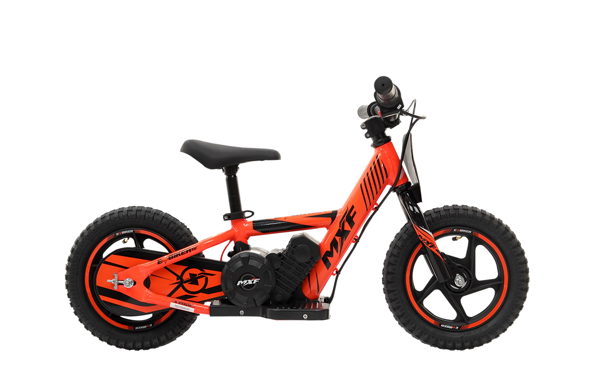 E-BIKER 12