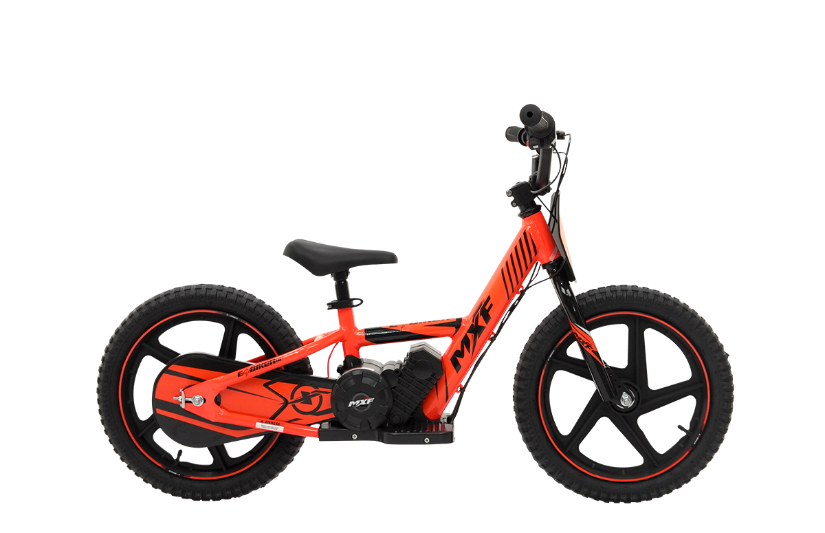 E-BIKER 16