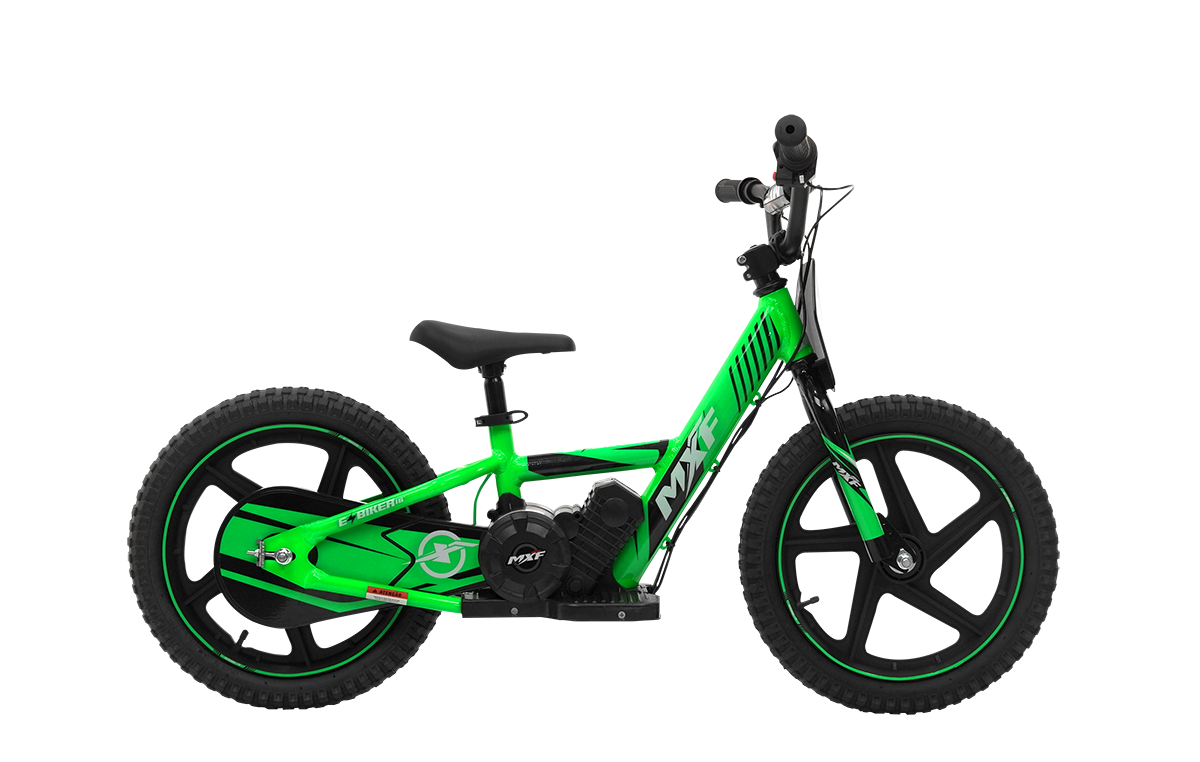 E-BIKER 16