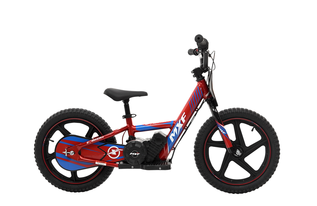 E-BIKER 16