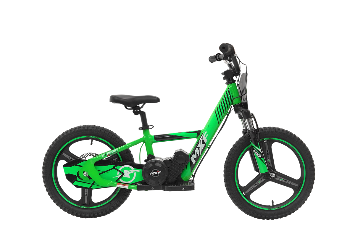 E-BIKER 16 PRO