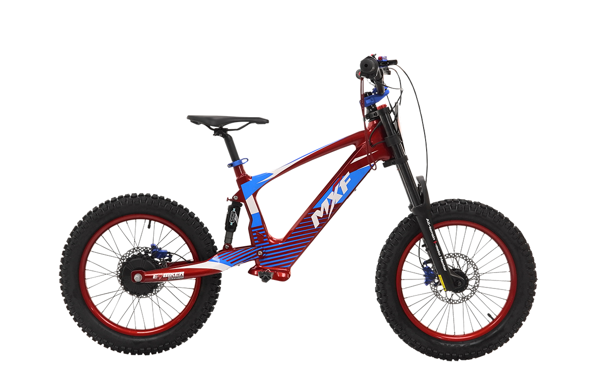 E-BIKER 18 PRO